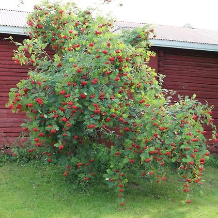 Idyllinen Kaksio Apartamento Kankaanpää Exterior foto