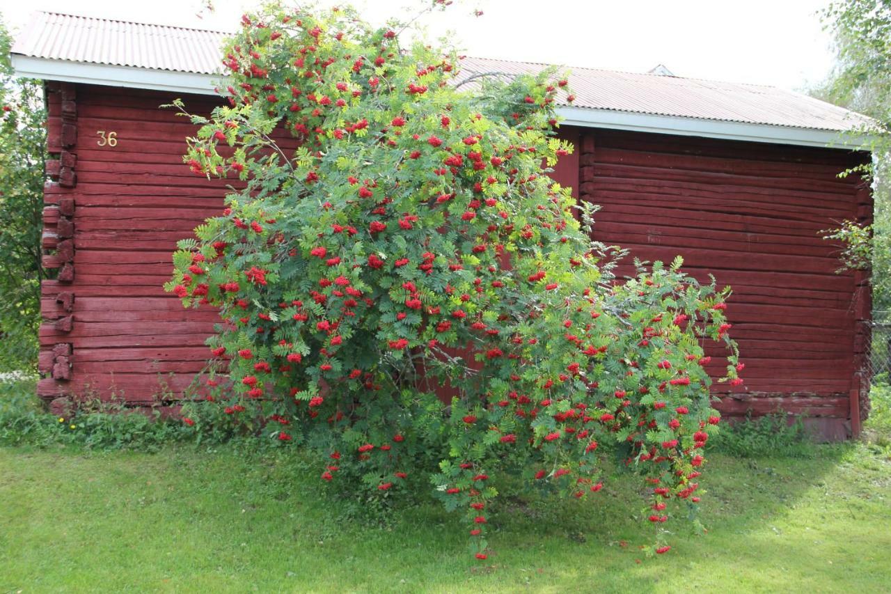Idyllinen Kaksio Apartamento Kankaanpää Exterior foto